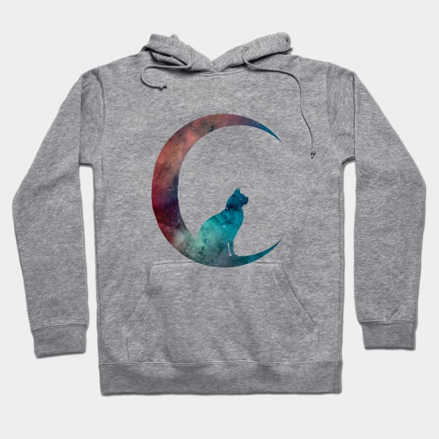 Cat Sitting On The Moon Hoodie by TheJollyMarten